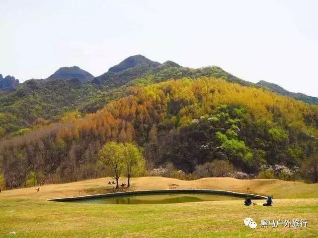 探秘42为什么是偶数个呢?,解开疑团